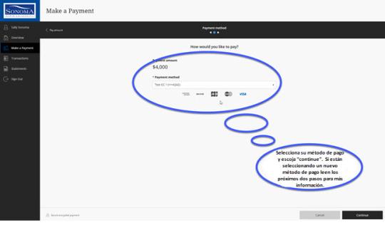 Step 4 How to make an online payment