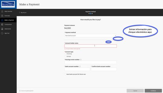 Step 4b How to make an online payment